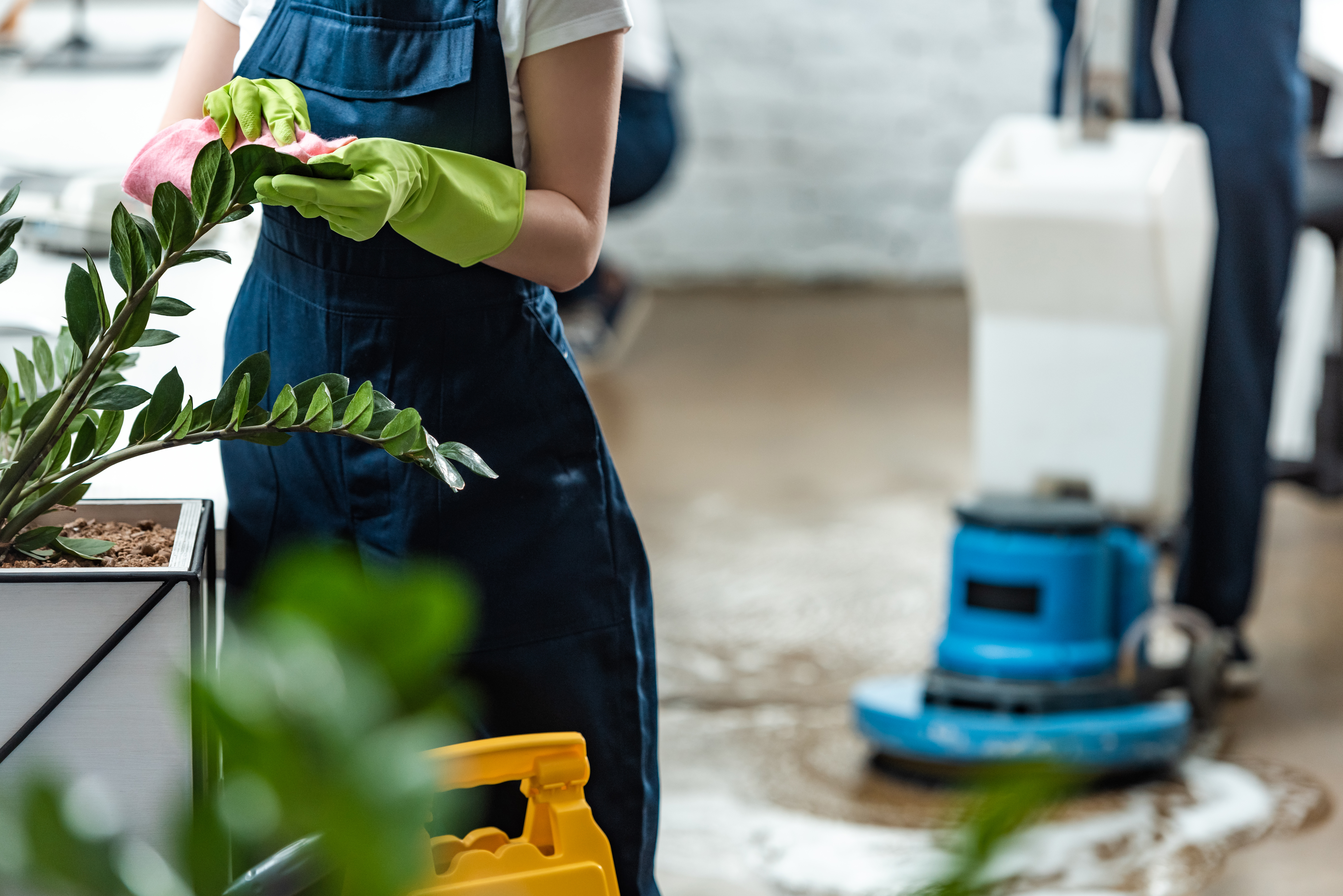 Professional commercial cleaning team at Skyline Building Services